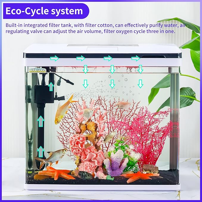 Glass 10 Gallon Aquarium Fish Tank Starter Kit with Temperature and Time Display for Betta Fish Featuring Crystal Clear 360° Viewing, Eco-Cycle Filtration, Air Pump Bluecoco