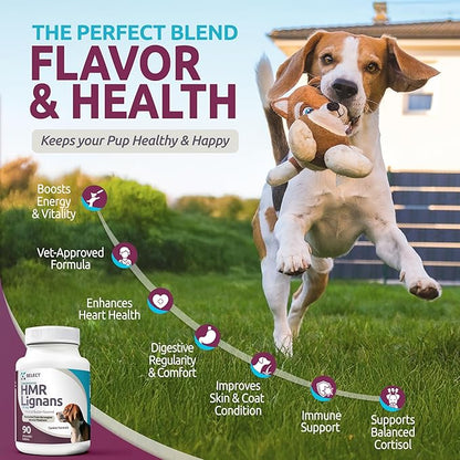 K9 Select HMR Lignans for Dogs - Enhancer for Overall Wellness, Immune Support for Dogs - Norway Spruce Extract Holistic Dog Health - Digestion, & Coat Care - Peanut Butter, 20mg, 90 Tablets LignansForLife