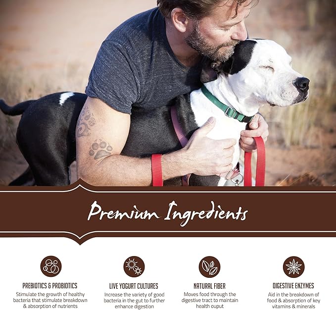 Holistic Select Natural Dry Dog Food, Chicken Meal & Rice Recipe, 30-Pound Bag - PAWPICO