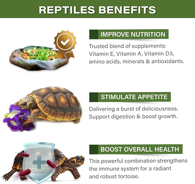 2oz Forest Tortoise Food Supplement, Flower Salad Mix Topper. Supercharge Juveniles & Adults Appetite, Health & Immune System. Complete Diet, Rich with Vitamins, Made in The USA. Enjoy! Gargeer