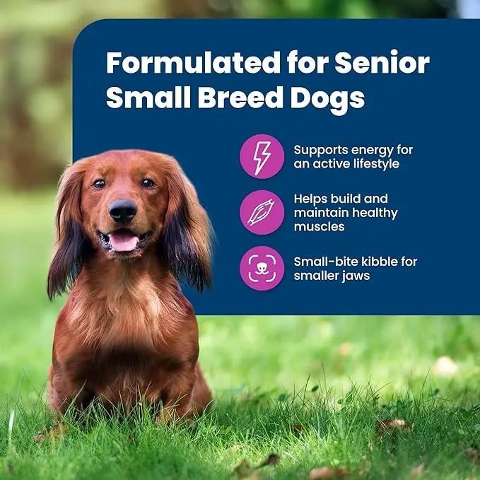 Blue Buffalo Life Protection Formula Small Breed Senior Dry Dog Food, Supports Joint Health and Immunity, Made with Natural Ingredients, Chicken & Brown Rice Recipe, 15-lb. Bag - PAWPICO