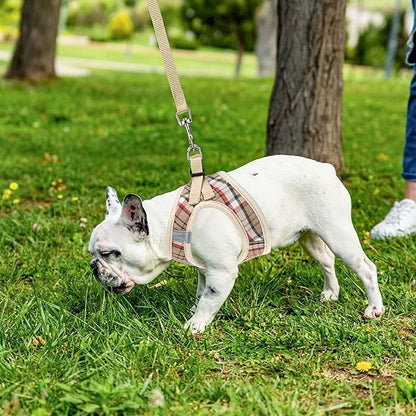 PUPTECK Adjustable Dog Harness Collar and Leash Set Step in No Pull Pet Harness for Small Medium Dogs Puppy and Cats Outdoor Walking Running, Soft Mesh Padded Reflective Vest Harnesses, Khaki L PUPTECK