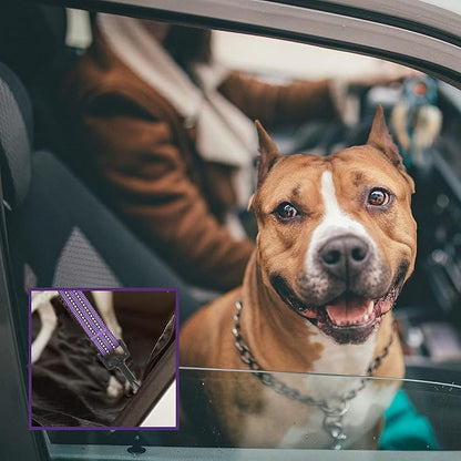 No Pull Dog Harness for Large Dogs, Adjustable No Choke Pet Vest with Dog Leash Fit Smart Reflective Pet Walking Harness for Training Easy Control Soft Handle Purple Camo L BUMBIN
