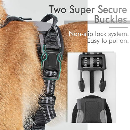 rabbitgoo Dog Harness, No-Pull Pet Harness with 2 Leash Clips, Adjustable Soft Padded Dog Vest, Reflective No-Choke Pet Oxford Vest with Easy Control Handle for Large Dogs, Grey, XL - PAWPICO