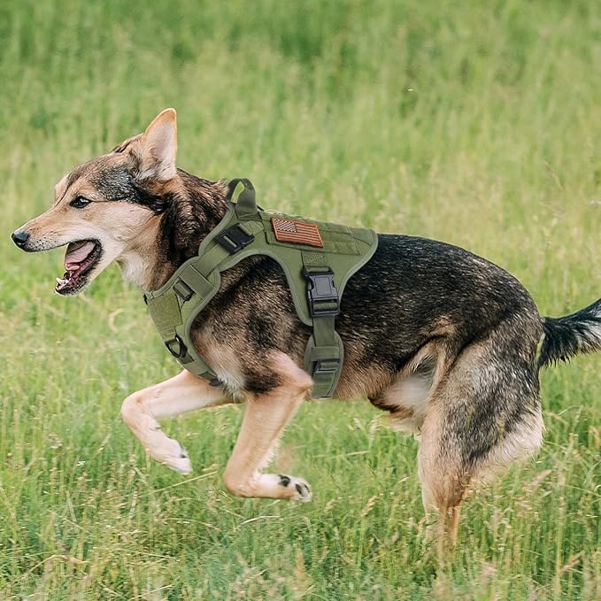 rabbitgoo Tactical Dog Harness Medium Sized, Heavy Duty Pet Harness with Handle, No-Pull Service Vest Medium Breed, Adjustable Military Dog Vest for Training Hunting Walking, Green, M rabbitgoo