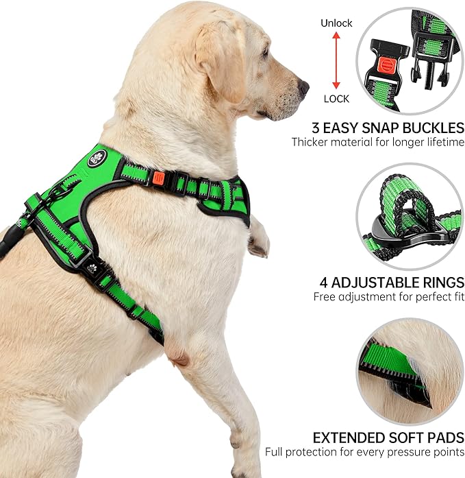 NESTROAD Dog Harness, Adjustable Oxford Harness with Leash, Reflective No-Choke Pet Vest with Easy Control Handle (M, Fluorescent Green) NESTROAD