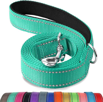Joytale Double-Sided Reflective Dog Leash, 6 FT/5 FT/4 FT, Padded Handle Nylon Heavy Duty Leashes for Medium & Large Dogs Walking, Teal, 6FT Joytale