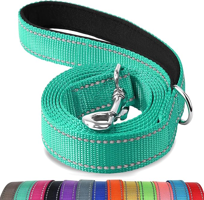 Joytale Double-Sided Reflective Dog Leash, 6 FT/5 FT/4 FT, Padded Handle Nylon Heavy Duty Leashes for Medium & Large Dogs Walking, Teal, 5FT Joytale