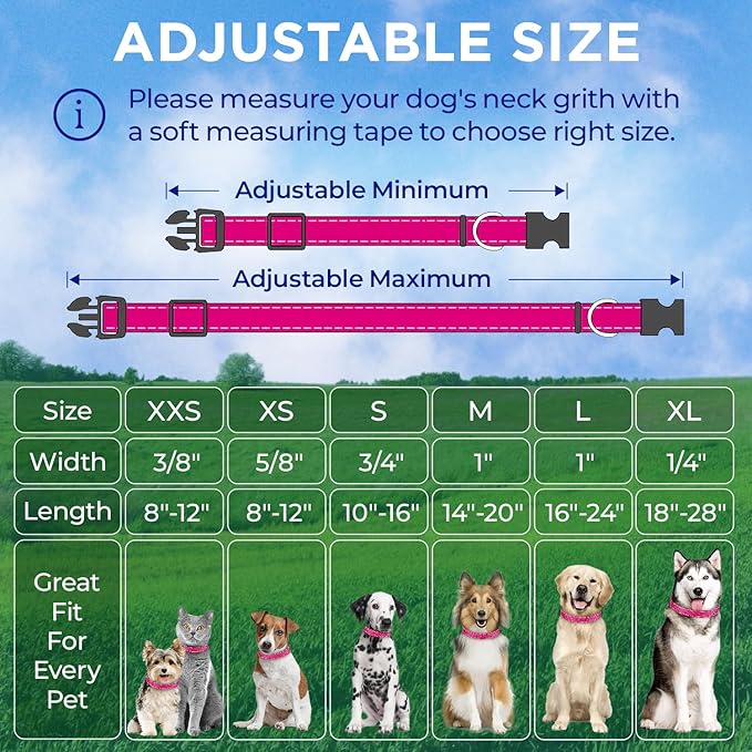 TECEUM Reflective Pet Collar – Hot Pink – XS – Basic Nylon Dog Collar – Quick Release Buckle – Fits Small, Medium and Large Dogs, Puppies, Cats – ESA & Service Dog Options TECEUM