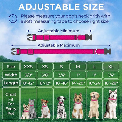 TECEUM Reflective Pet Collar – Hot Pink – XS – Basic Nylon Dog Collar – Quick Release Buckle – Fits Small, Medium and Large Dogs, Puppies, Cats – ESA & Service Dog Options TECEUM
