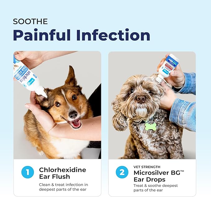 Vetnique Oticbliss Cat & Dog Ear Infection Treatment Drops - with 1% Hydrocortisone & MicroSilver BG for Dog Yeast Ear Infections - Vet Recommended Cat & Dog Ear Cleaner for Itchy Ear Relief VetniqueLabs