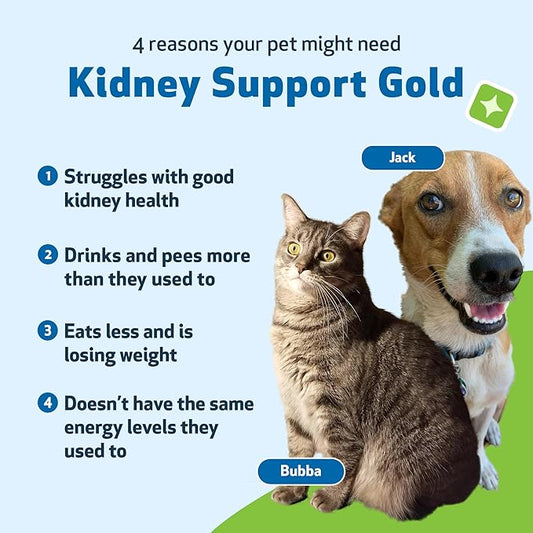 Pet Wellbeing Kidney Support Gold for Dogs & Cats - Healthy Kidney Function, Energy & Fluid Balance, Normal Appetite, Rehmannia, Dong Quai - Veterinarian-Formulated Herbal Supplement 4 oz (118 ml) PetWellbeing