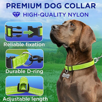 TECEUM Reflective Pet Collar – Acid Green – XXS – Basic Nylon Dog Collar – Quick Release Buckle – Fits Small, Medium and Large Dogs, Puppies, Cats – ESA & Service Dog Options TECEUM