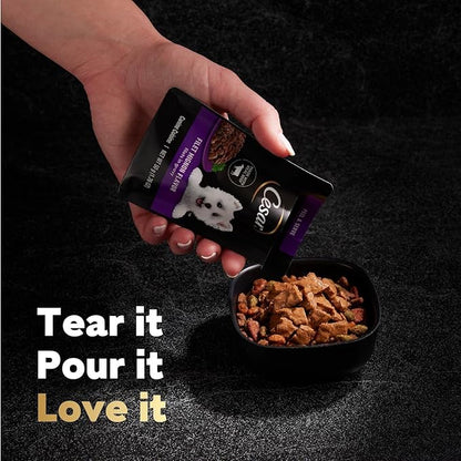 Cesar Filets in Gravy Wet Dog Food Filet Mignon Flavor and Rotisserie Chicken Flavor Variety Pack, 1.76 oz. Mini-Pouches, 20 Pack (Pack of 2) - PAWPICO