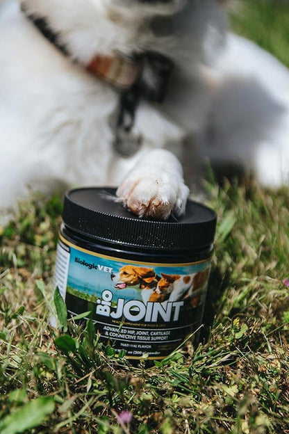 BioJOINT Advanced Joint Mobility Support, Advanced Hip, Joint, Cartilage & Connective Tissue Support, 53-Day Supply for 30-lb. Animal, 14-oz. Powder FloraHealth