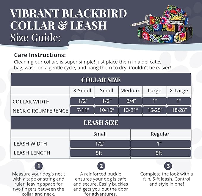 Lucky Love Dog - Easy Click Buckle Dog Collar with Leash Set Combo, Durable & Comfortable Collar for Male & Female Dogs, Pet Collar for Small to Large Dogs, Secure Fit - Blackbird Combo, X-Small LuckyLoveDog