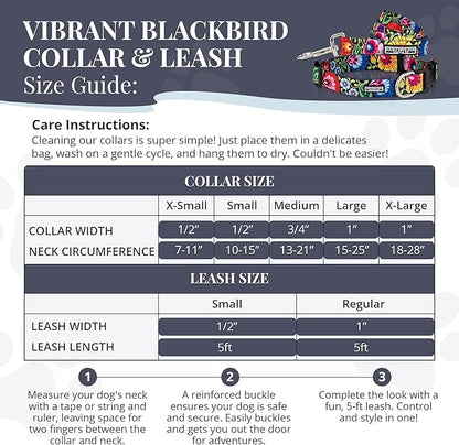 Lucky Love Dog - Easy Click Buckle Dog Collar with Leash Set Combo, Durable & Comfortable Collar for Male & Female Dogs, Pet Collar for Small to Large Dogs, Secure Fit - Blackbird Combo, X-Small LuckyLoveDog