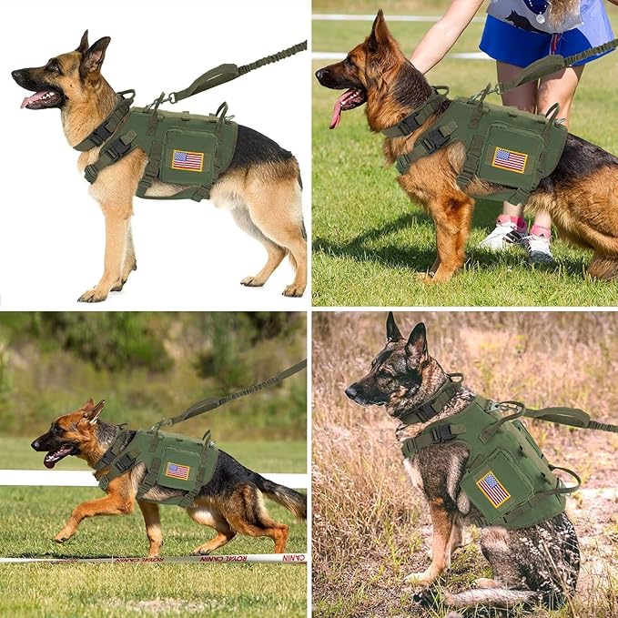 Forestpaw Tactical Dog Harness for Large Dogs,Tactical Dog Collar with Bungee Leash Set,No Pull Military Dog Harness for Dog Walking Training,Adjustable for Medium Large Dogs,Green S Forestpaw