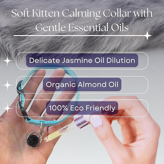 Kitten Calming Collar with 100% Natural Oil, Cat Stress and Anxiety Relief, Kitten Calming Products, Breakaway, Vet-Approved (Pure Jasmine) ROLLERPAWSTER