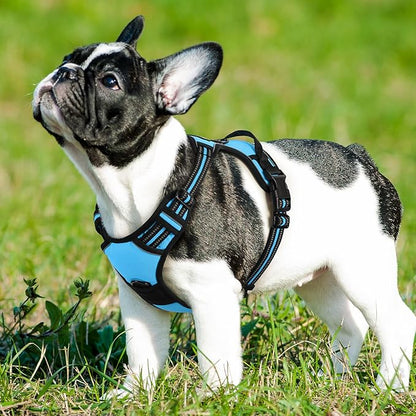 Eagloo Dog Harness Medium Sized Dog, No Pull Service Vest with Reflective Strips and Control Handle, Adjustable and Comfortable for Easy Walking, No Choke Pet Harness with 2 Metal Rings, Sky Blue, M GoExplorewithEagloo