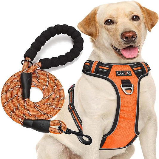 tobeDRI No Pull Dog Harness Adjustable Reflective Oxford Easy Control Medium Large Dog Harness with A Free Heavy Duty 5ft Dog Leash (XL (Chest: 31"-39"), Orange Harness+Leash) - PAWPICO