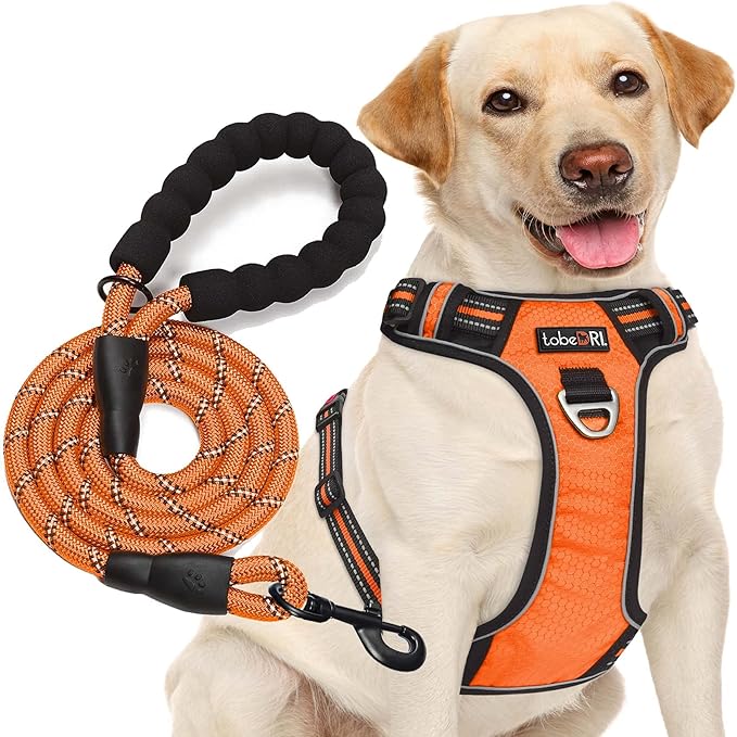 No Pull Dog Harness Adjustable Reflective Oxford Easy Control Medium Large Dog Harness with A Free Heavy Duty 5ft Dog Leash (M (Chest: 22"-26"), Orange Harness+Leash) tobeDRI