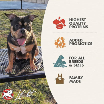 Fromm Heartland Gold Adult Premium Dry Dog Food - Beef Recipe - 12 lb - PAWPICO