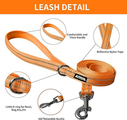 AIITLE Comfortable Dog Harness and Leash Set for Walking - Spring Step in Vest Harness,Reflective Bands, Adjustable No Pull Puppy Essentials, for Small Dogs and House Cats Orange XS AIITLE-FORPETSBETTERLIFE