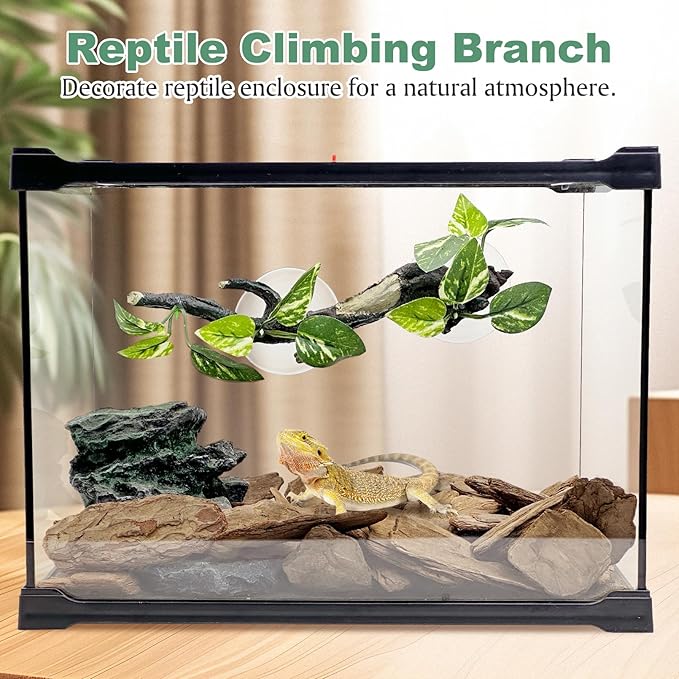 Fhiny Snake Climbing Branch, 2 PCS Resin Reptile Branches for Climbing with Suction Cups Frog Terrarium Plants Reptile Tank Decor Accessories for Frog Corn Snake Lizard Bearded Dragon Gecko Fhiny