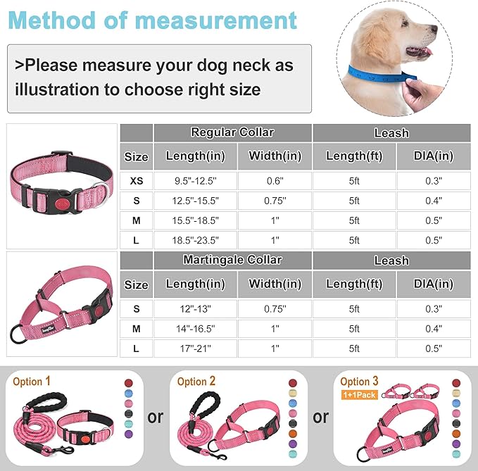 haapaw 2 Packs Martingale Dog Collar with Quick Release Buckle Reflective Dog Training Collars for Small Medium Large Dogs haapaw