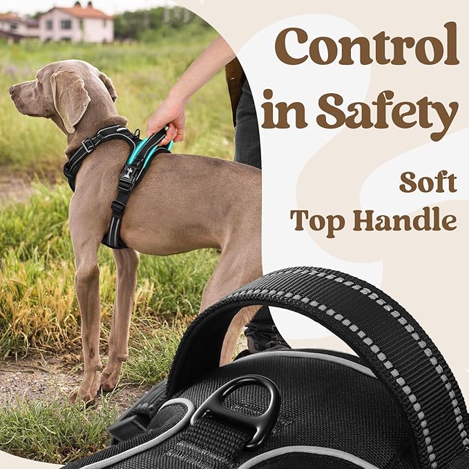 rabbitgoo Dog Harness for Large, No Pull Pet Harness with 3 Buckles, Adjustable Soft Padded Pooch Vest with Instant Control Handle, Easy Walking Reflective Pet Vest for Extra Large Dogs, Black, XL rabbitgoo