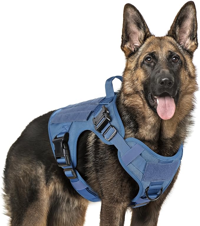 rabbitgoo Tactical Dog Harness for Large, Heavy Duty Pet Harness with Handle, No-Pull Service Vest Large Breed, Adjustable Military Dog Vest for Training Hunting Walking, Blue, L rabbitgoo