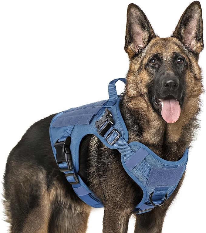 rabbitgoo Tactical Dog Harness for Large, Heavy Duty Pet Harness with Handle, No-Pull Service Vest Large Breed, Adjustable Military Dog Vest for Training Hunting Walking, Blue, XL rabbitgoo