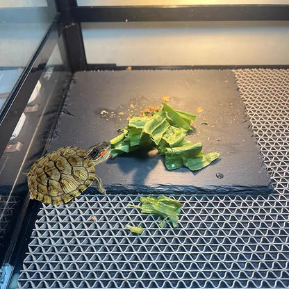 Reptile Basking Platform 2Pcs 11.8'' Large Tortoise Rock Plate Slate Feeding Platform Food Dish Bowl Turtle Bathing Rock Rest Terrace for Chameleon Lizard Bearded Dragon Gecko Snake Frog Newt (30CM) Tfwadmx