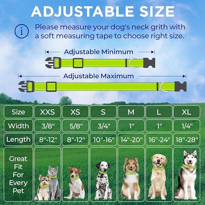 TECEUM Reflective Pet Collar – Acid Green – XXS – Basic Nylon Dog Collar – Quick Release Buckle – Fits Small, Medium and Large Dogs, Puppies, Cats – ESA & Service Dog Options TECEUM