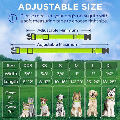 TECEUM Reflective Pet Collar – Acid Green – XXS – Basic Nylon Dog Collar – Quick Release Buckle – Fits Small, Medium and Large Dogs, Puppies, Cats – ESA & Service Dog Options TECEUM