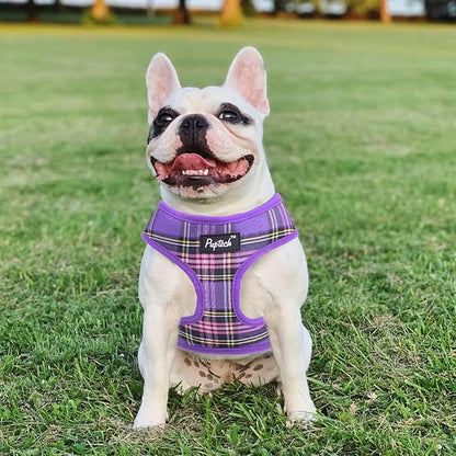 PUPTECK Soft Mesh Dog Harness and Leash Set Pet Puppy Cat Comfort Padded Vest No Pull Harnesses, Purple, M PUPTECK