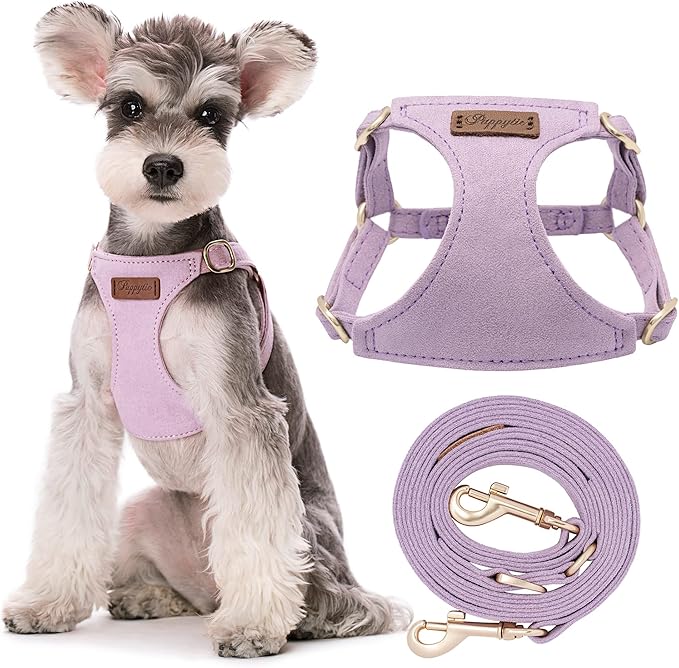 Puppytie No Pull Small Dog Harness with Multifunction Dog Leash,Lightweight Soft Adjustable No Choke Escape Proof Pet Harness Vest Pet Harness Vest,Light Purple,S Puppytie