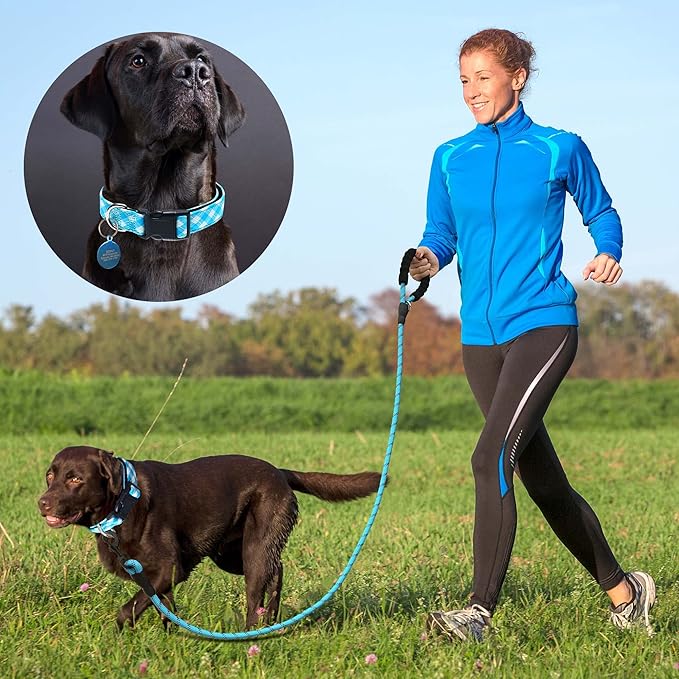 Reflective Dog Collar Padded with Soft Neoprene Breathable Adjustable Nylon Dog Collars for Small Medium Large Dogs (Medium (Pack of 1), Vivid Blue Plaid Collar+Leash) ladoogo