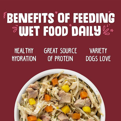 Weruva Classic Dog Food, Peking Ducken with Chicken & Duck in Gravy, 5.5oz Can (Pack of 24), Multi - PAWPICO