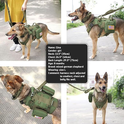 Forestpaw Tactical Dog Harness for Large Dogs,Tactical Dog Collar with Bungee Leash Set,No Pull Military Dog Harness for Dog Walking Training,Adjustable for Medium Large Dogs,Green S Forestpaw