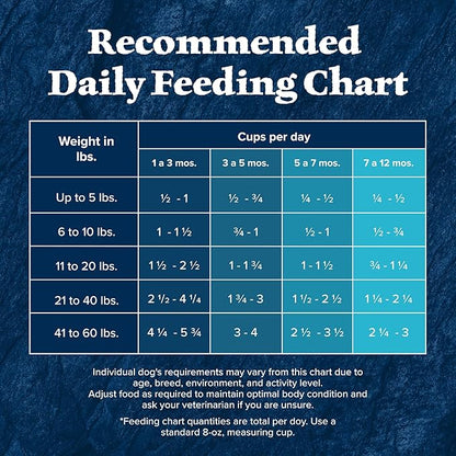 Blue Buffalo Wilderness Rocky Mountain Recipe High-Protein Dry Puppy Food with DHA, Made in the USA with Natural Ingredients Plus Wholesome Grains, Red Meat, 4.5-lb. Bag - PAWPICO