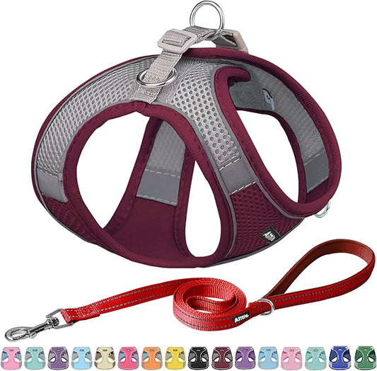 AIITLE Dog Harness, Spring No-Pull Cat Harness with a Leash, Adjustable Reflective Dog Vest, Cat Harness Escape Proof, Outdoor Walking, Camping for Extra Small Dogs and House Cats Burgundy XXXS AIITLE-FORPETSBETTERLIFE