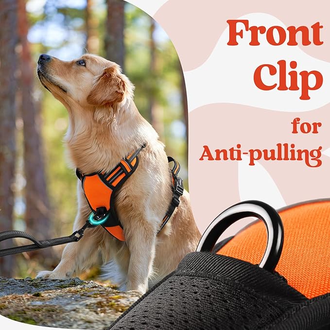 rabbitgoo Dog Harness Medium Sized, No Pull Pet Harness with 3 Buckles, Adjustable Soft Padded Pooch Vest with Instant Control Handle, Easy Walking Reflective Pet Vest for Medium Dogs, Orange, M - PAWPICO
