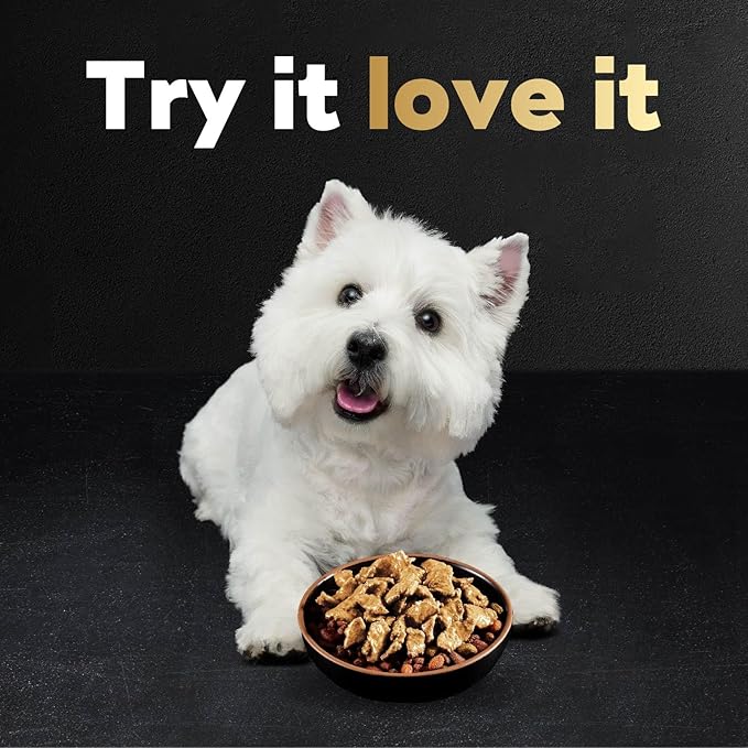 Cesar Filets in Gravy Wet Dog Food Rotisserie Chicken Flavor, 1.76 oz. Mini-Pouch, 20 Pack - PAWPICO