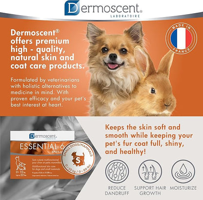 Dermoscent Essential 6 spot-on - Dog Skin Care for Dandruff & Allergy Relief with Vitamin E Oil - Anti Itch for Dogs - Dog & Small Mammals 0-10 kg - 4 Pipettes of 0.6 ml Dermoscent
