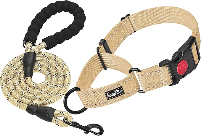 haapaw 2 Packs Martingale Dog Collar with Quick Release Buckle Reflective Dog Training Collars for Small Medium Large Dogs (Collar+Leash, L Neck 17"-21", Beige, 1+1 Packs) haapaw