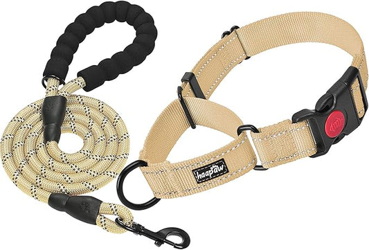 haapaw 2 Packs Martingale Dog Collar with Quick Release Buckle Reflective Dog Training Collars for Small Medium Large Dogs haapaw