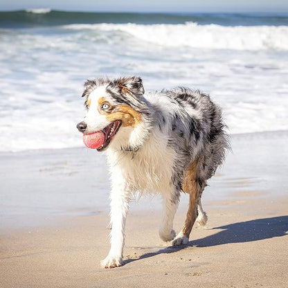 Hyper Pet Tennis Balls for Dogs (Pet Safe Dog Tennis Ball for Exercise and Training, Interactive Toys work with Hyper Pet K9 Kannon K2 Launcher - 4 Pack 2.5" Pink - PAWPICO