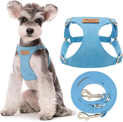 Puppytie No Pull Small Dog Harness with Multifunction Dog Leash,Lightweight Soft Adjustable No Choke Escape Proof Pet Harness Vest Pet Harness Vest,Ocean Blue,S Puppytie